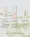 Сонцезахисний серум Beauty Of Joseon Ginseng Moist Sun Serum SPF 50 BOJ1011 фото 7