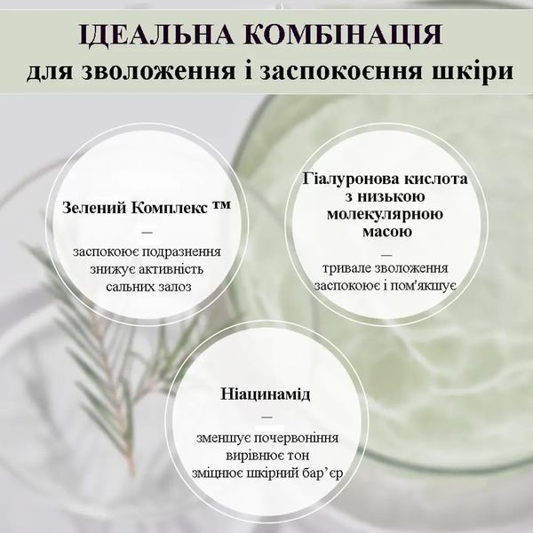 Сонцезахисний крем для нейтралізації почервонінь з екстрактом чайного дерева Dr.Ceuracle Tea Tree Purifine Green Up Sun SPF 50+ PA++++ , 50 мл DRCEU1024 фото