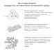 Заспокійлива ампульная сироватка з центелою Needly Cicachid Soothing Ampoule, 30 мл NE1020 фото 2